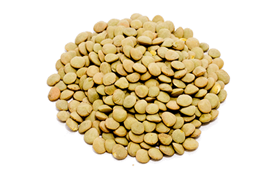 main-image-photo-laird-green-lentils.png