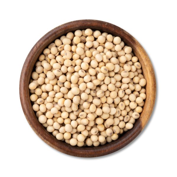 Soyabean